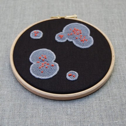 ELINtm – Lichen and Mould: Art and Accessories